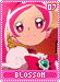 blossom07
